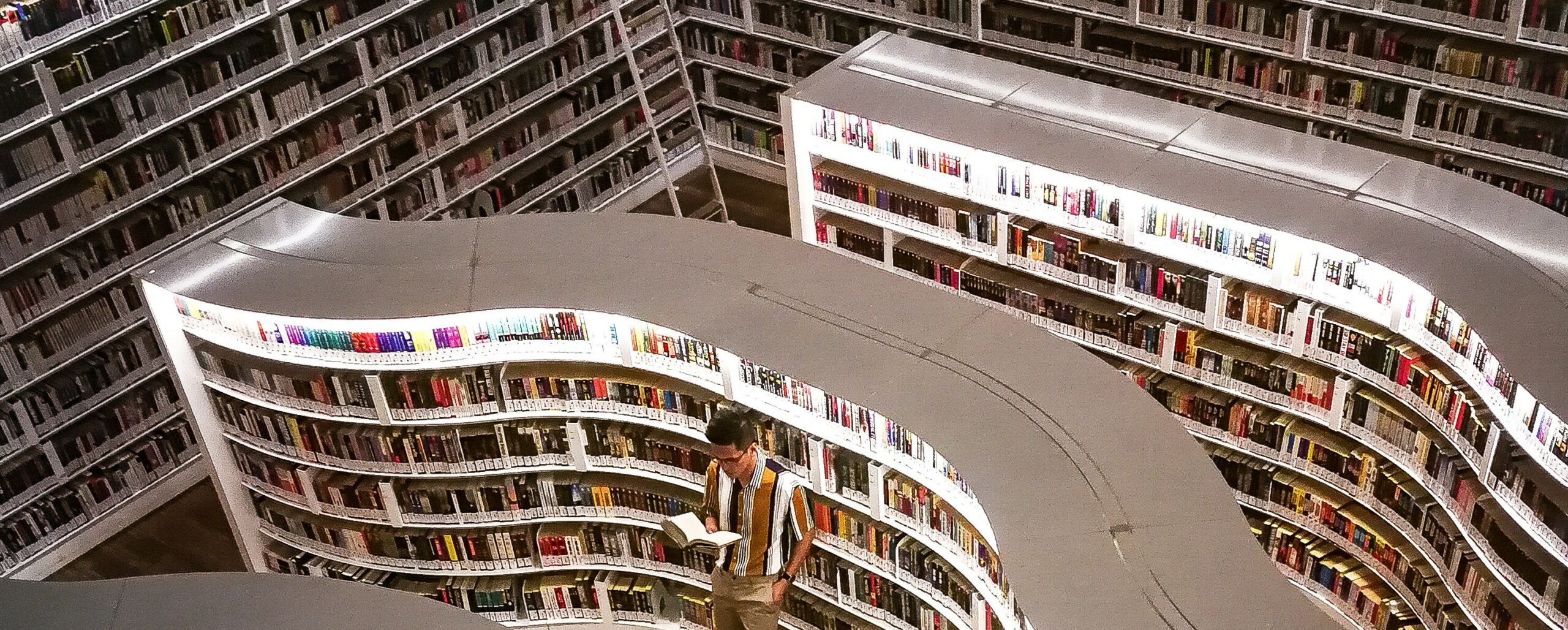 long shelf of books