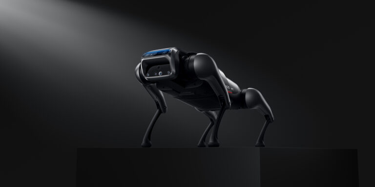 Xiaomi cyberdog in a black and dark shade standing on a point.