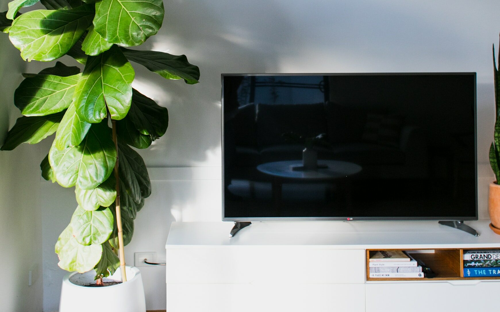 Black flat TV with a green plant on the left side.